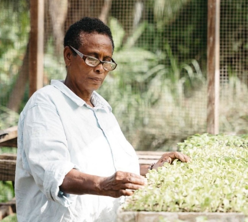 Ms. Theresa Marryshow tending seedlings in the farm nursery